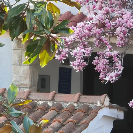 Martinuzzi Apartmán Rovinj